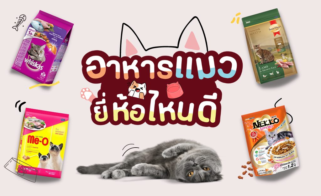 Which brand of cat food is good