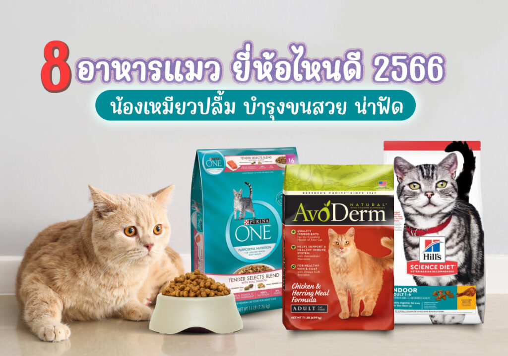 Which cat food is good