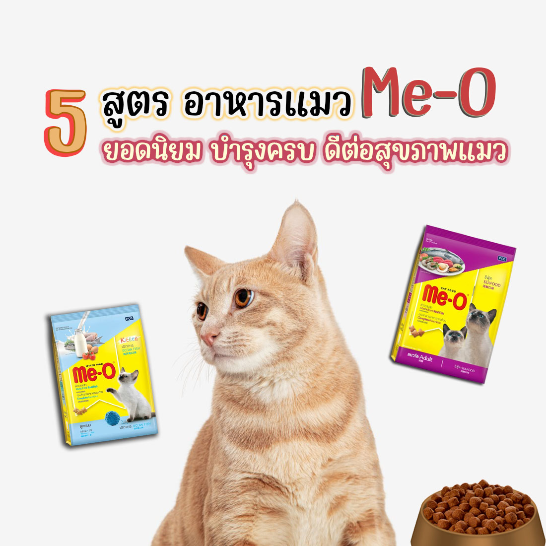 5 popular meo cat food